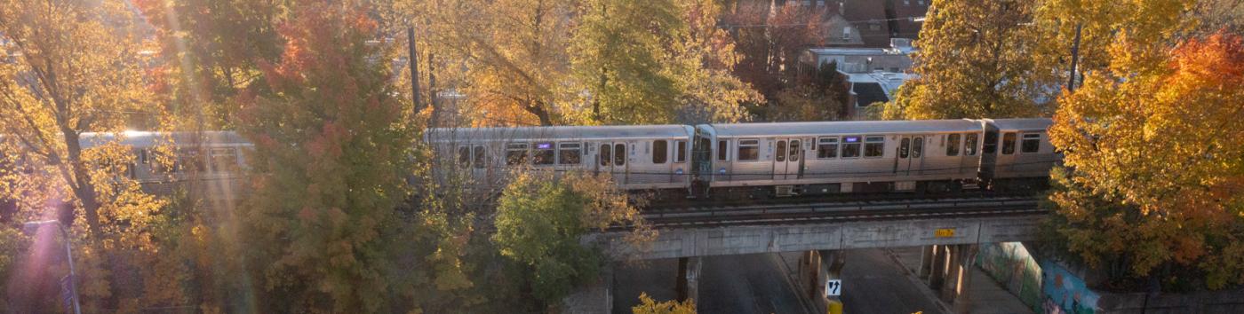 CTA train in the Fall